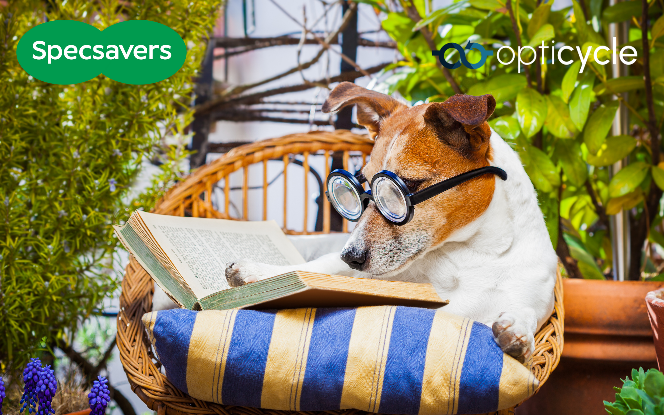 Give Your Old Glasses a New Purpose!