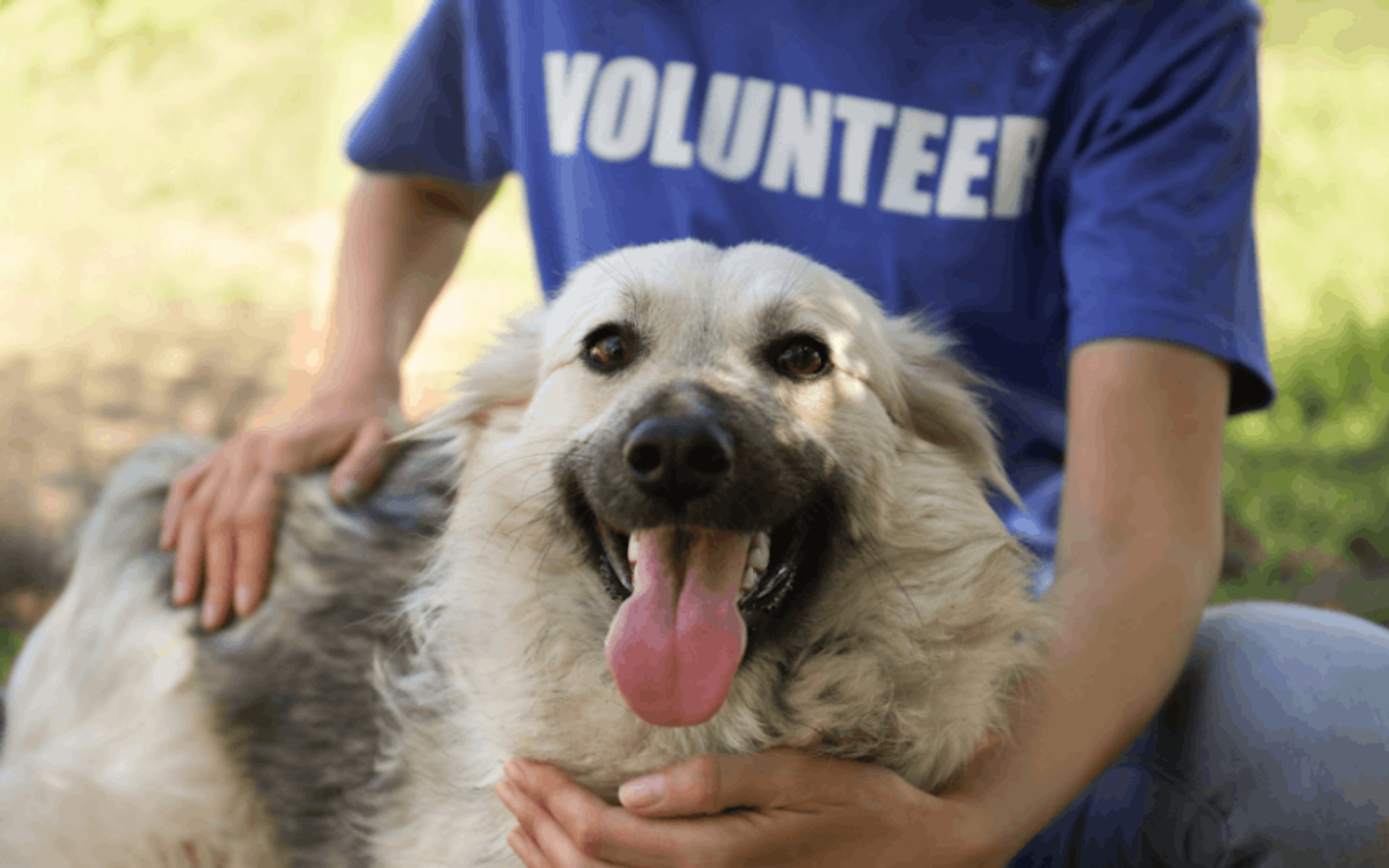 5 ways to make a difference this International Volunteer Day