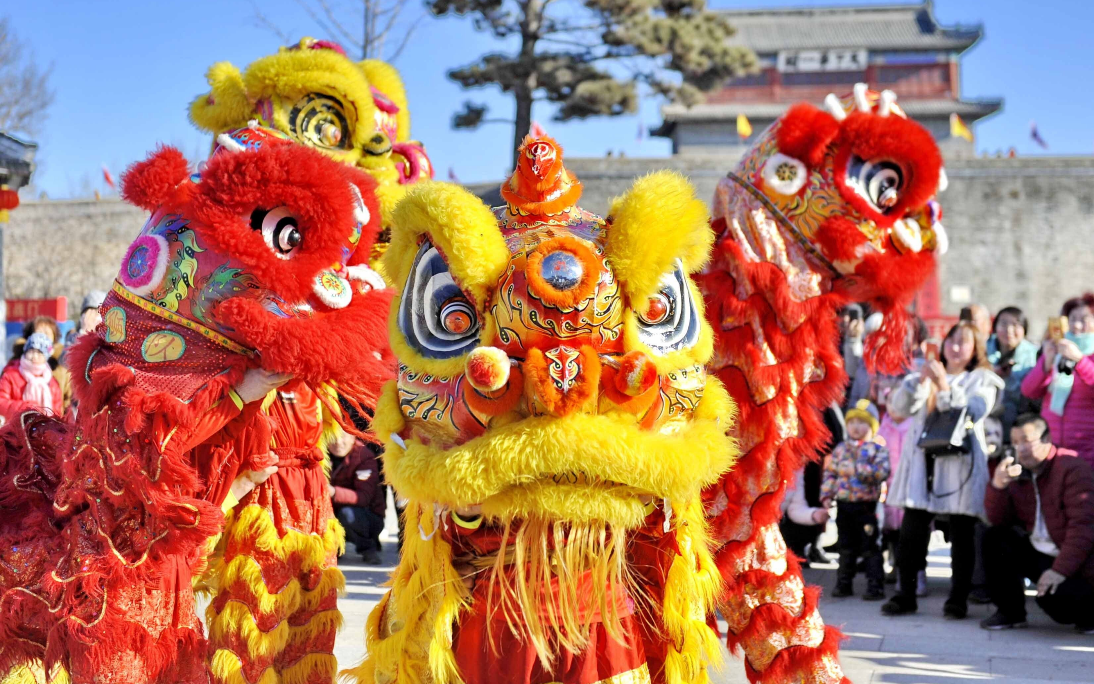 Where to go for Lunar New Year | Space207 St Leonards