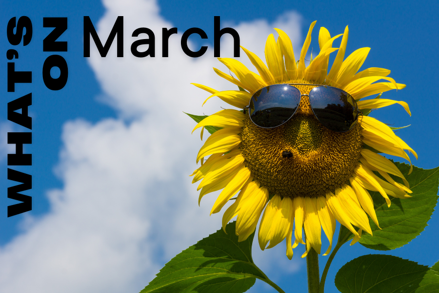 What’s on around Sydney in March