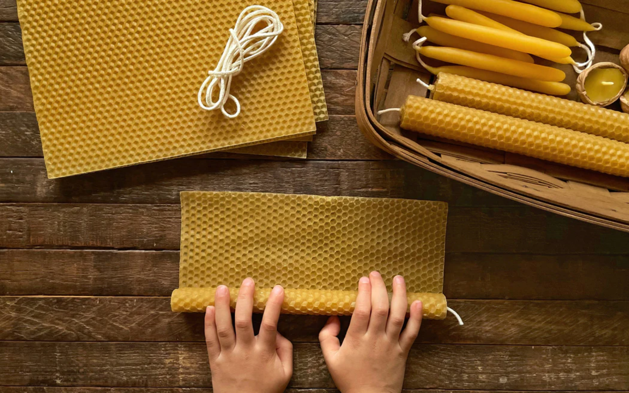 World Bee Day – Beeswax Candle Rolling!