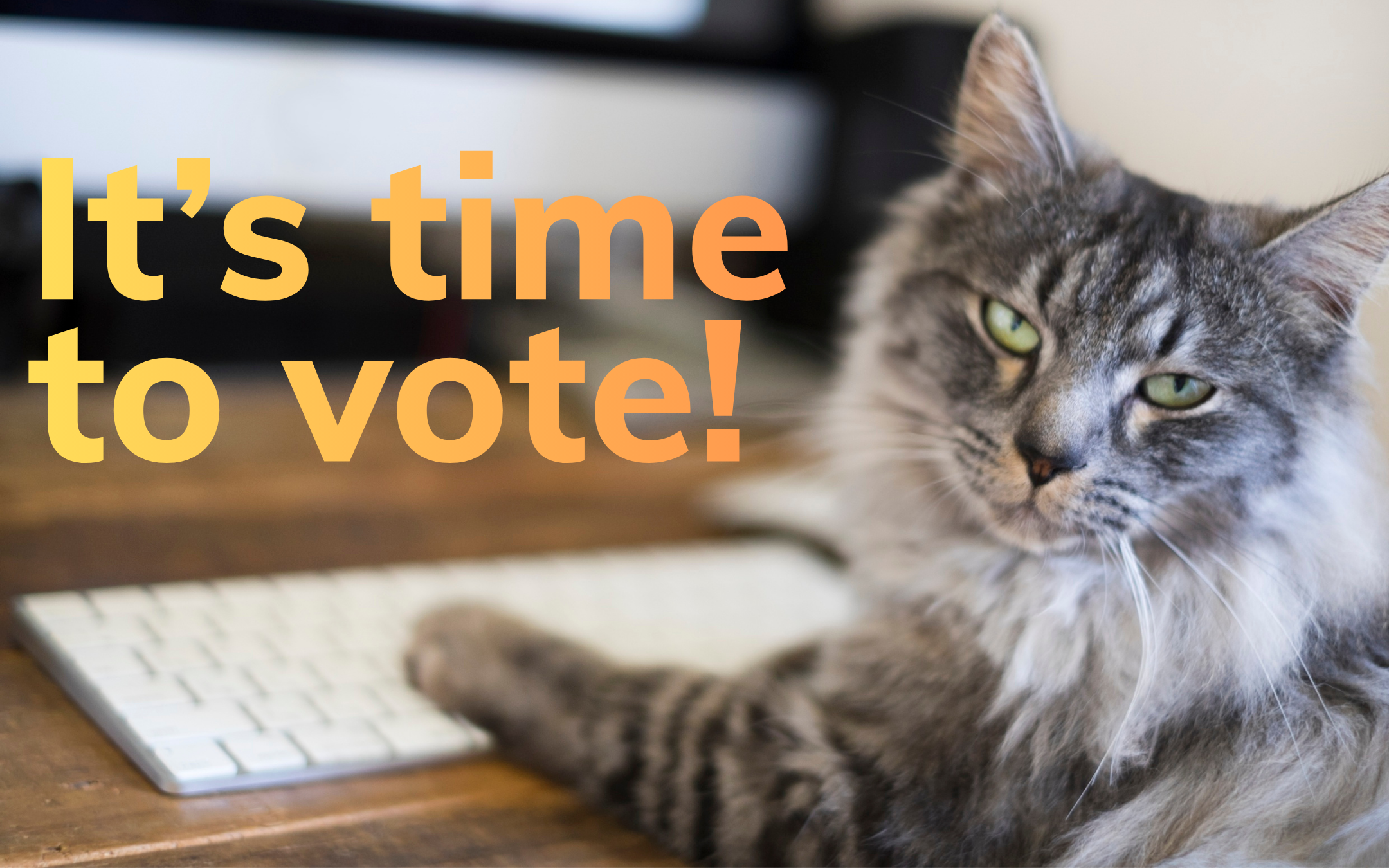 It’s time to vote for your favourite pet pic!