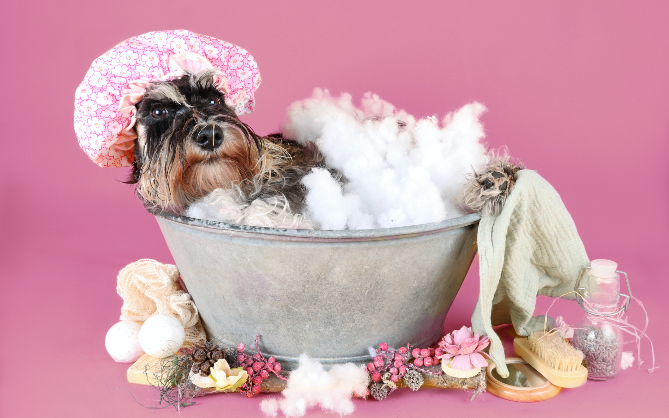 Celebrate National Pet Day and Win a $100 Petbarn Voucher!