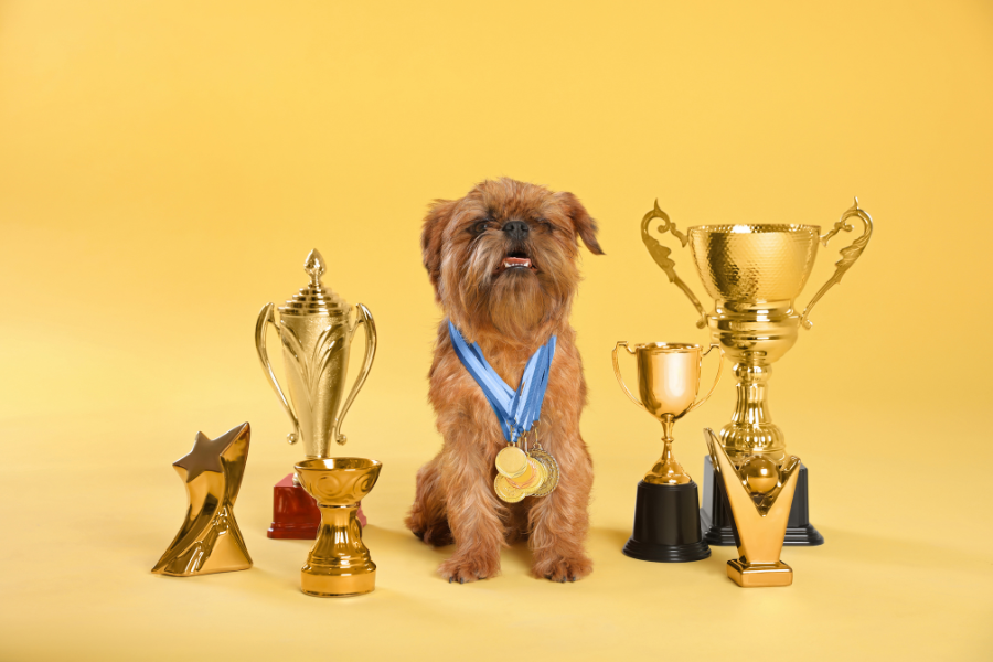 Who were our May Competition Winners?